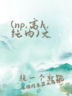 (np,高h,纯肉)文