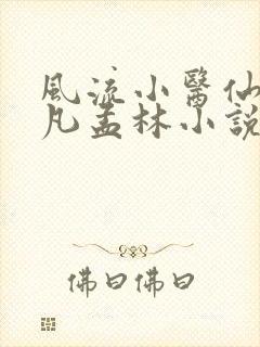 风流小医仙李千凡孟林小说
