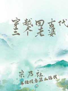 穿越回古代娶了三个老婆
