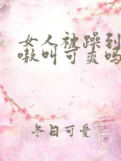 女人被躁到高潮嗷叫可爽吗