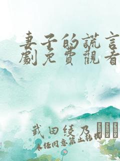 妻子的谎言电视剧免费观看全集