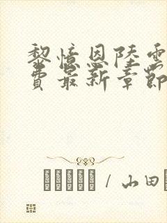 黎忆恩陆云帆免费最新章节更新时间