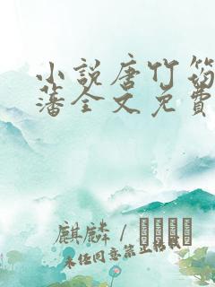 小说唐竹筠唐明藩全文免费阅读