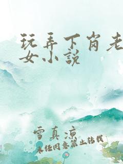 玩弄下岗老年妇女小说