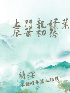 上门龙婿叶辰叶辰萧初然