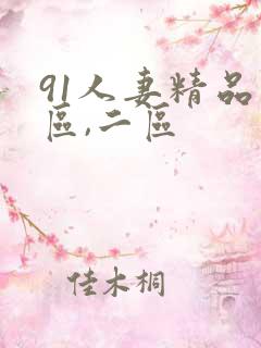 91人妻精品一区,二区