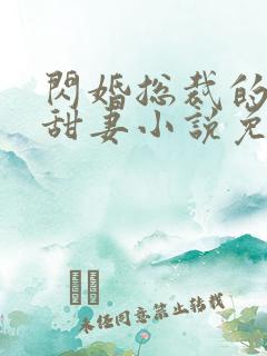闪婚总裁的契约甜妻小说免费阅读全文
