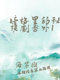 暗格里的秘密电视剧番外1