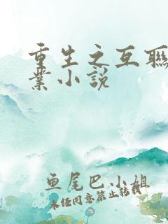 重生之互联网创业小说