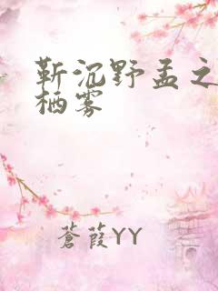 靳沉野孟之瑶唐栖雾