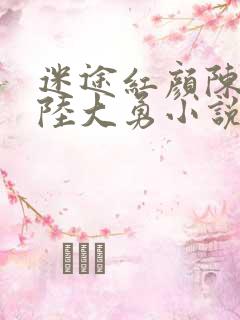 迷途红颜陈美美陆大勇小说免费阅读