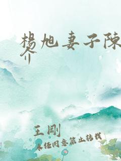 杨旭妻子陈赛简介