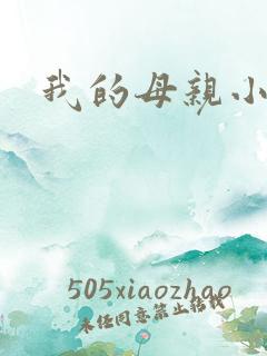 我的母亲小说