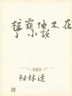 校霸他又在装乖了 小说