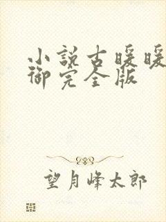 小说古暖暖江尘御完全版