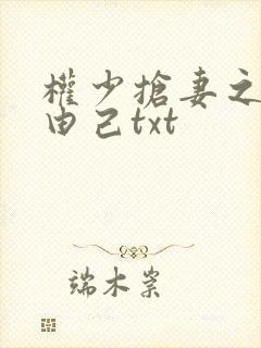权少抢妻之婚不由己txt