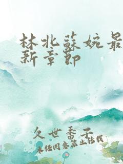 林北苏婉最新更新章节