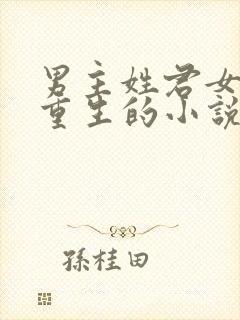 男主姓君女主是重生的小说