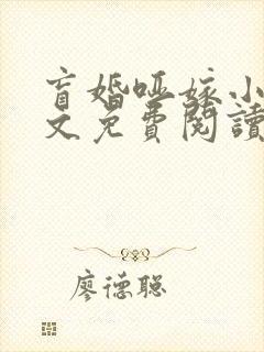 盲婚哑嫁小说全文免费阅读