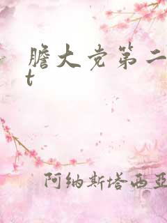 胆大党第二季bt