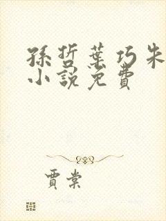 孙哲叶巧朱颜的小说免费