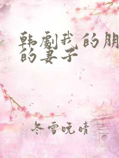 韩剧我的朋友他的妻子