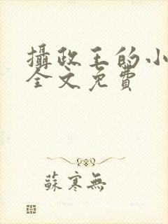 摄政王的小毒妃全文免费