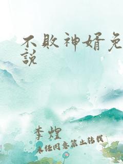 不败神婿免费小说