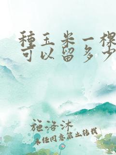 种玉米一棵玉米可以留多少条玉米