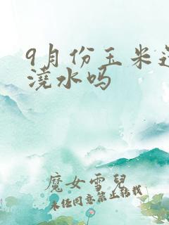 9月份玉米还用浇水吗