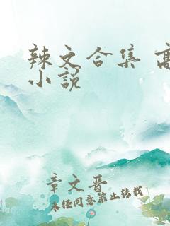 辣文合集 高h小说