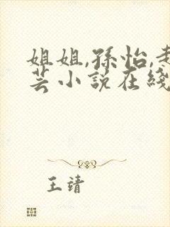 姐姐,孙怡,赵芸小说在线阅读