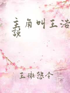 主角叫王浩的小说