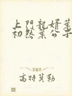 上门龙婿叶辰萧初然叶公子