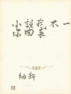 小说我不一定要你回来