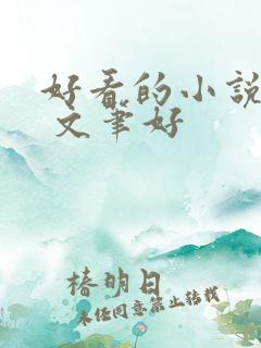 好看的小说推荐 文笔好
