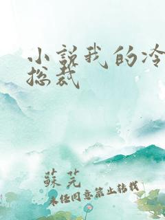 小说我的冷艳女总裁