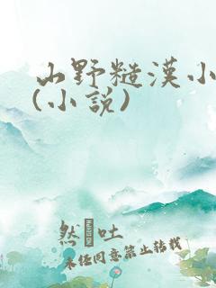 山野糙汉小娇娘(小说)