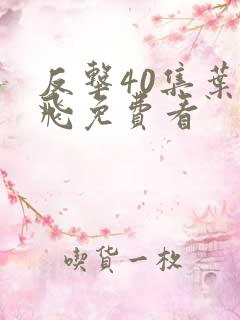 反击40集叶宇飞免费看