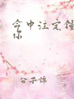 命中注定钟情于你