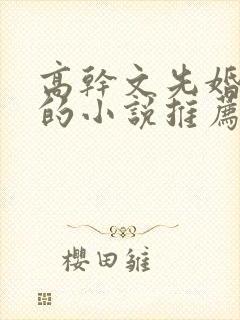 高干文先婚后爱的小说推荐