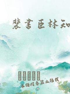 裴书臣林知许