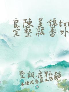 良陈美锦txt完整版番外