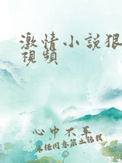 激情小说狠狠干视频