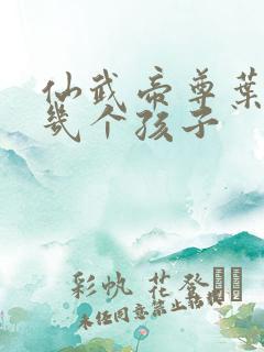 仙武帝尊叶辰有几个孩子