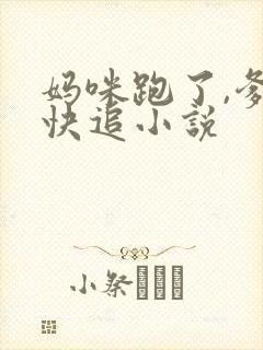 妈咪跑了,爹地快追小说