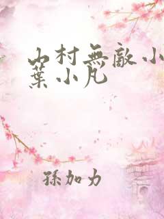山村无敌小医仙叶小凡