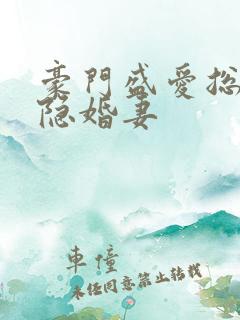 豪门盛爱总裁的隐婚妻