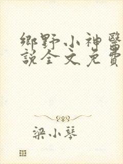 乡野小神医 小说全文免费