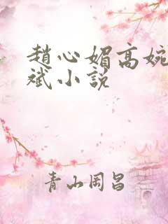 赵心媚高婉君陈斌小说